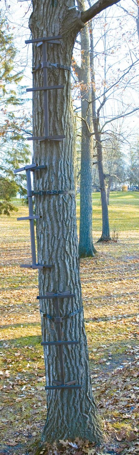 Guide Gear Quick Tree Climbing Sticks Ladder Steps for Treestands Deer Hunting Gear and Accessories, 3 Pack None
