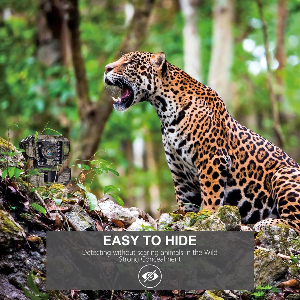 WOSPORTS Mini Trail Camera,30MP 1080P HD Game Camera Motion Activated with IR Night Vision Waterproof Video Deer Cam for Outdoor Wildlife Monitoring