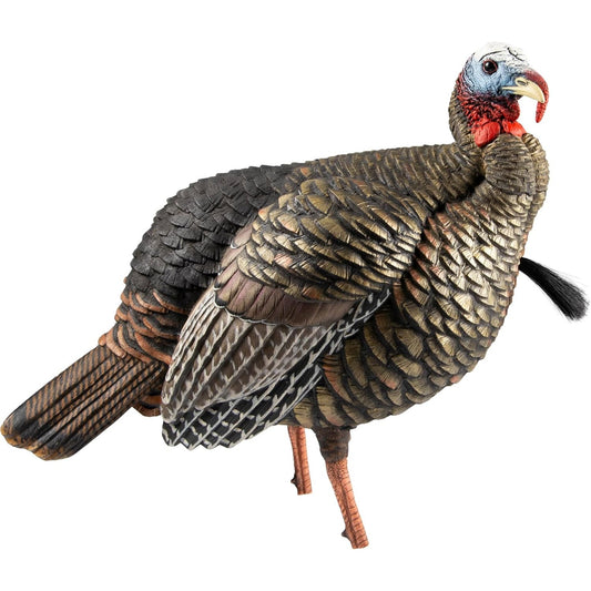 Avian-X HDR Jake Turkey Decoy | Rugged Durable Realistic Lifelike Quarter-Strut Body Standing Hunting Decoy with 2 Removable Heads, Mounting Stake & Carry Bag