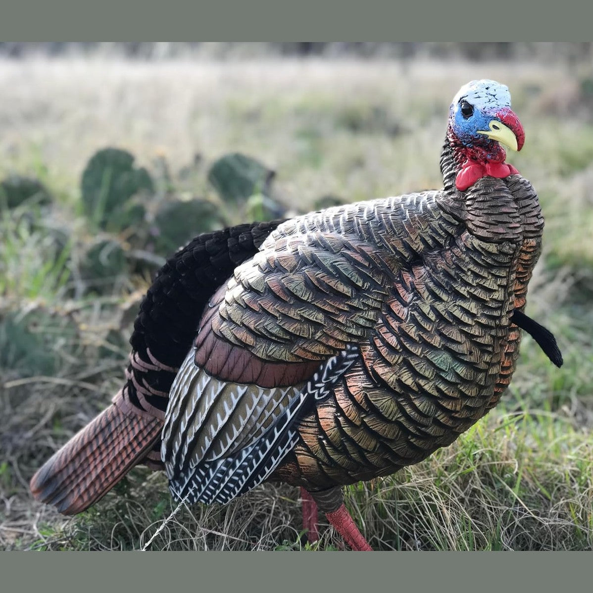 Avian-X HDR Jake Turkey Decoy | Rugged Durable Realistic Lifelike Quarter-Strut Body Standing Hunting Decoy with 2 Removable Heads, Mounting Stake & Carry Bag