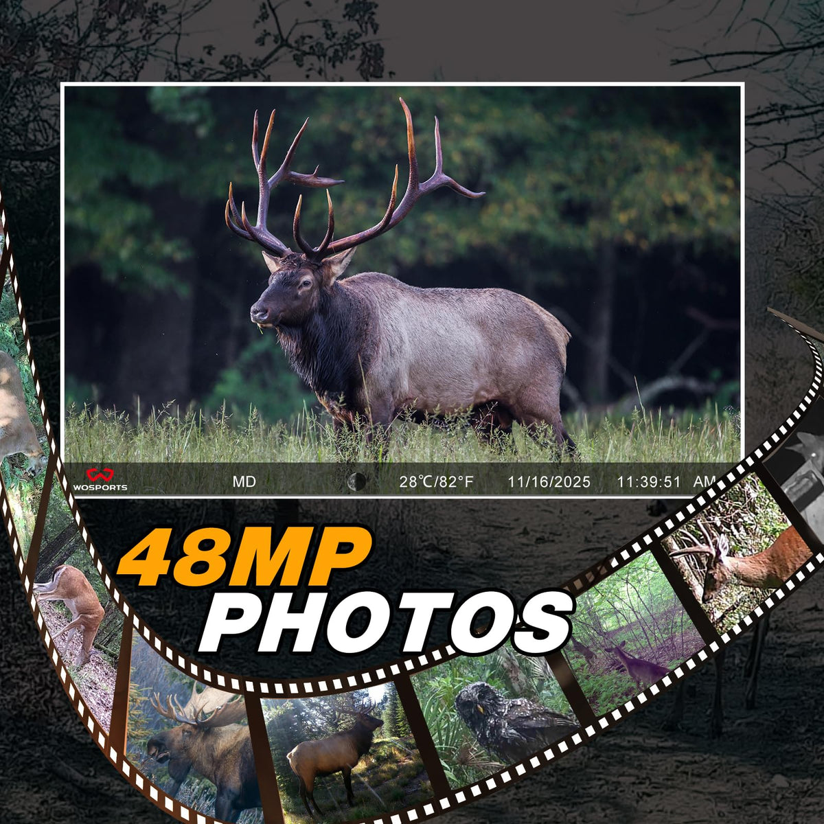 WOSPORTS Trail Camera(Non-Cellular Non-WiFi) 64MP 4K 0.2S Trigger Motion Activated,Game Camera with No-Glow Night Vision 2.0''LCD 120°Wide for Outdoor Scouting Wildlife Monitoring Home Security