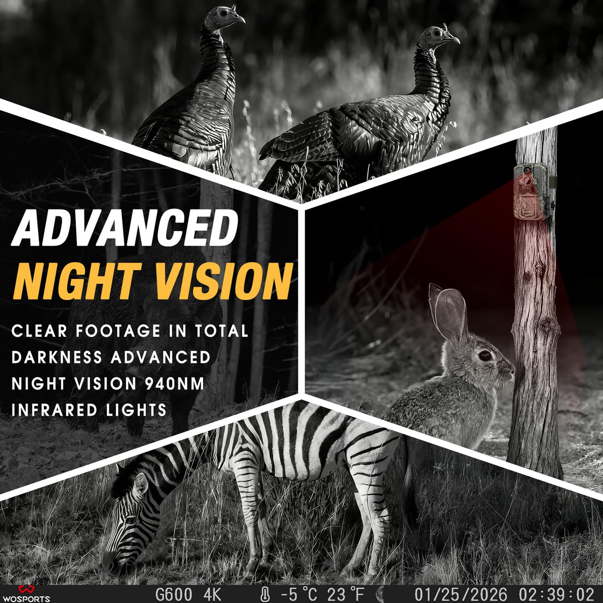 WOSPORTS Trail Camera(Non-Cellular Non-WiFi) 64MP 4K 0.2S Trigger Motion Activated,Game Camera with No-Glow Night Vision 2.0''LCD 120°Wide for Outdoor Scouting Wildlife Monitoring Home Security