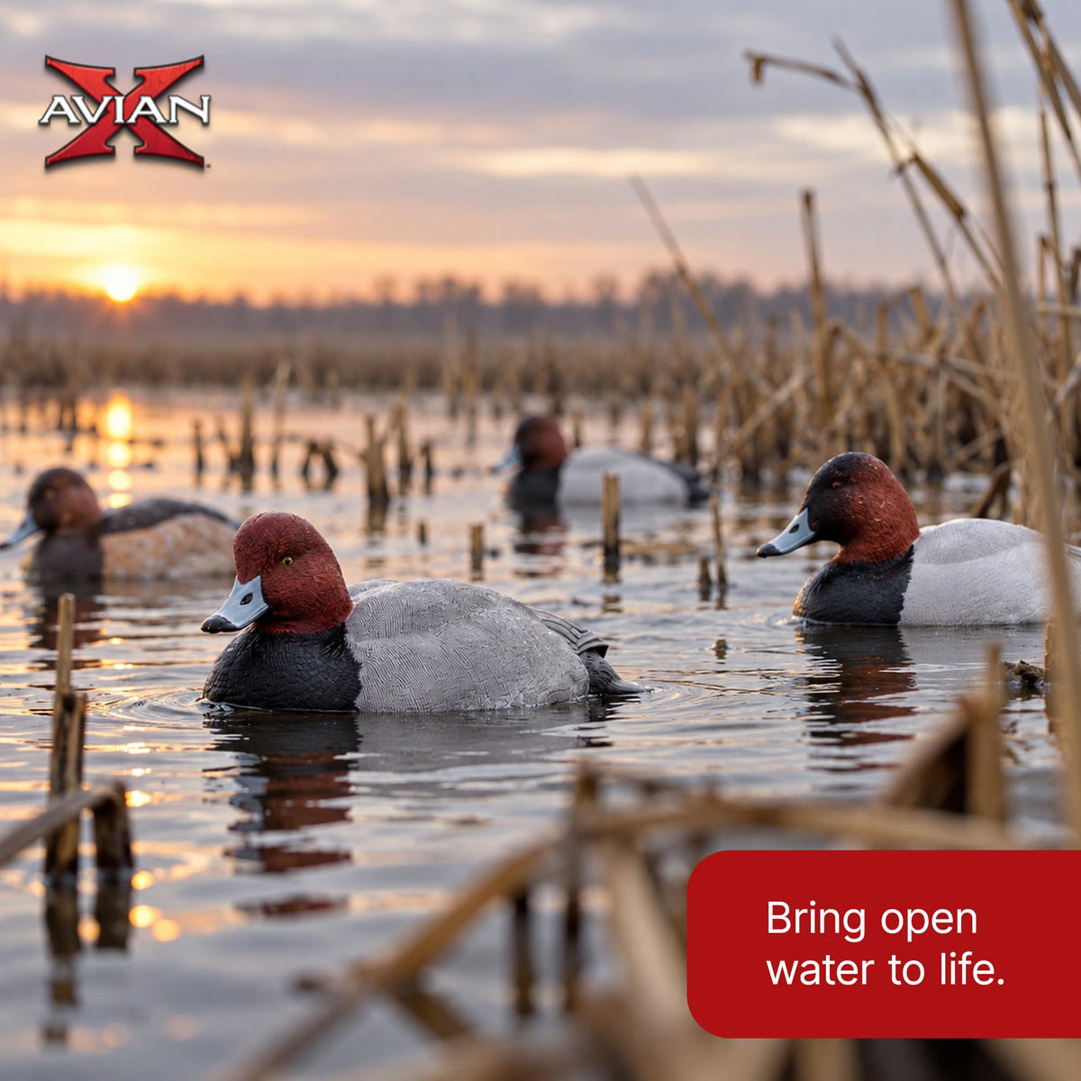 Avian-X Topflight Blue-Winged Teal Duck, Realistic Floating Outdoor Duck Decoys