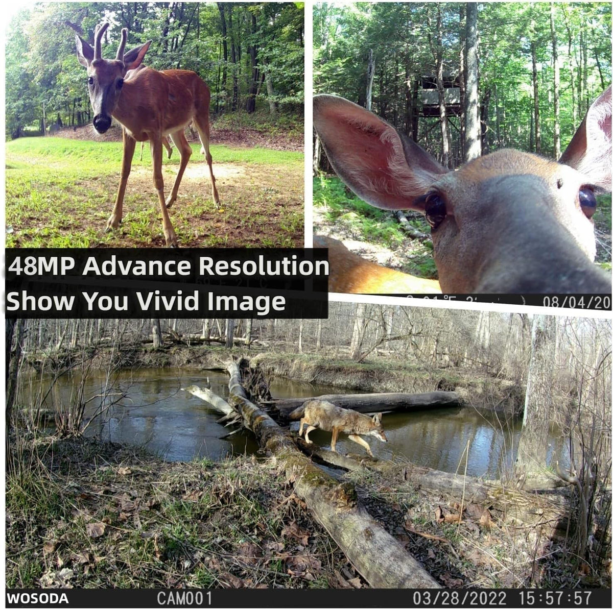 WOSODA 2 Pack Trail Cameras with Night Vision Motion Activated Waterproof,48MP Game Camera,1080P HD Trail Cam with SD Card for Wildlife Monitoring,Outdoor Scouting & Security(Non-WiFi)