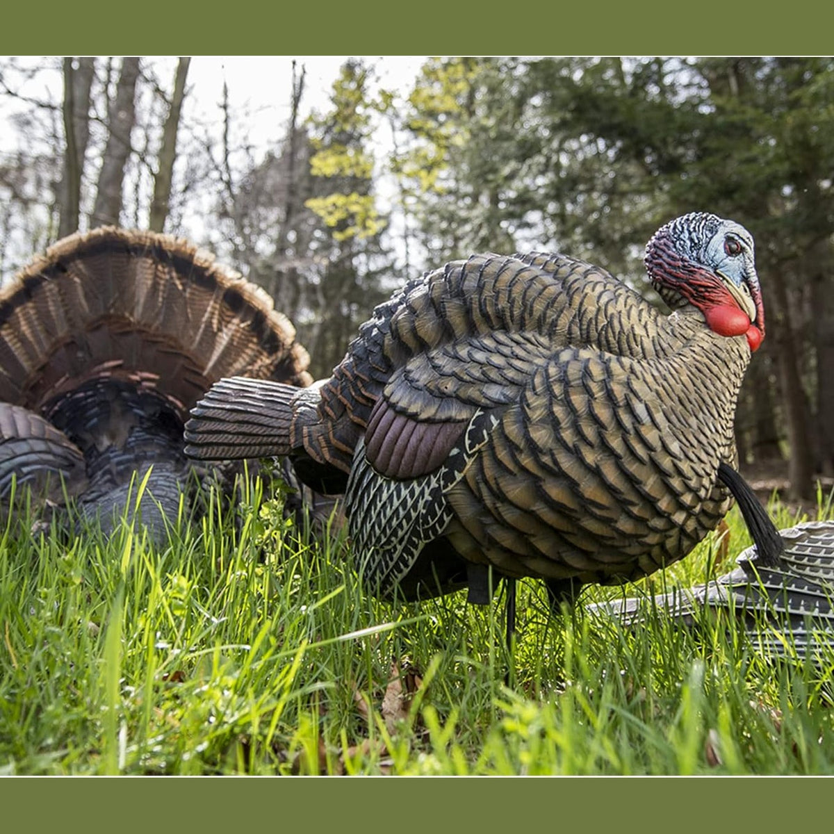Avian X LCD 1/2 Strut Jake Turkey Decoy