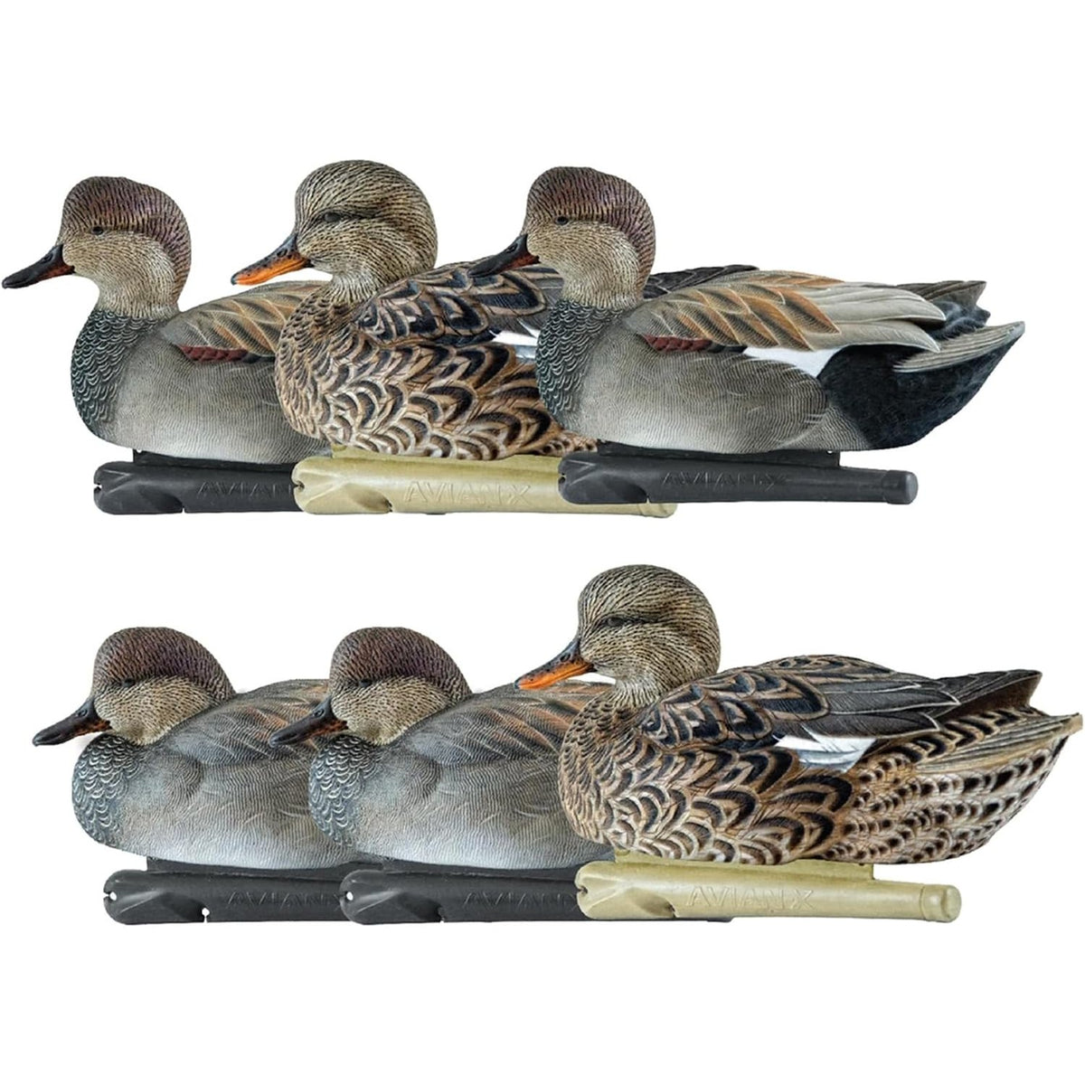 Avian-X Topflight Gadwall Decoys Perfectly Replicated Late Season Gray Ducks, Weight Forward Swim Keel, Realistic Movement