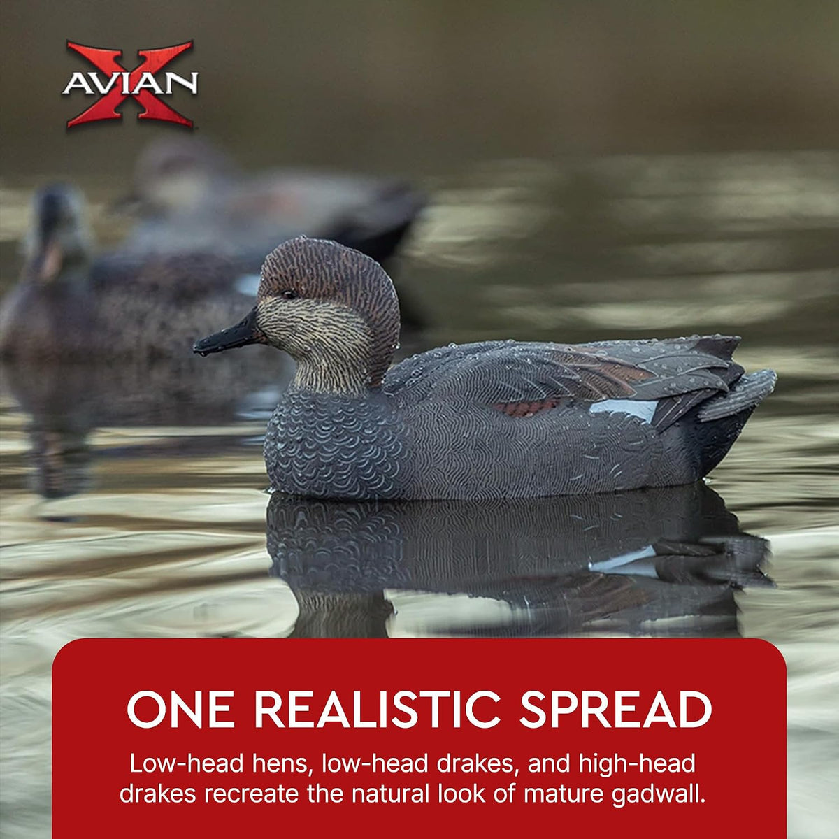 Avian-X Topflight Gadwall Decoys Perfectly Replicated Late Season Gray Ducks, Weight Forward Swim Keel, Realistic Movement