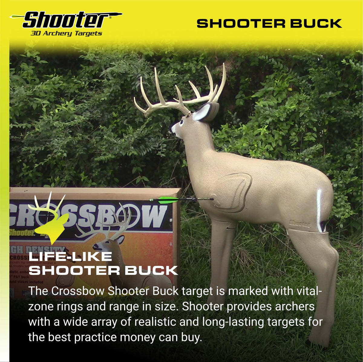SHOOTER Buck 3D Archery Target, Replaceable Insert for Long Life, Weather-Resistant Construction, High-Density Impact-Response Foam Withstands Field Points, Broadheads, and Expandables