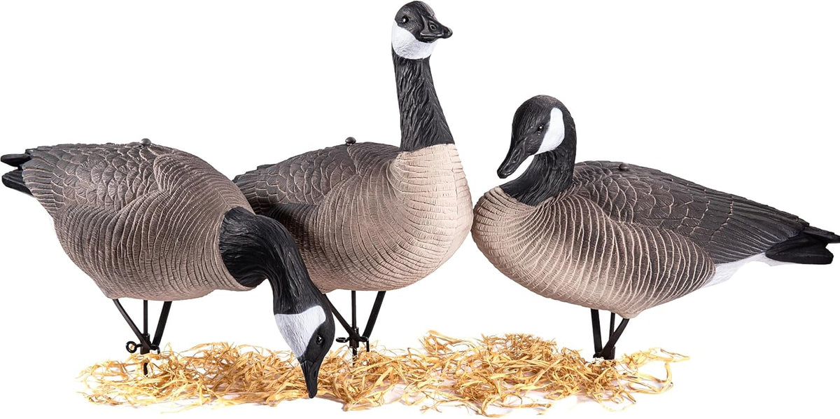 Heerweiyi Goose Decoys Pack of 6, Popular New Material EVA Collapsible Plastic Goose Hunting Decoys, Goose Decoys, Easy to Carry and Use, Cost Effective