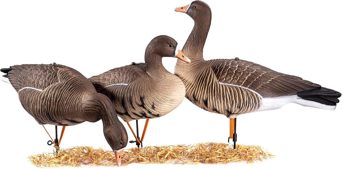 Heerweiyi Goose Decoys Pack of 6, Popular New Material EVA Collapsible Plastic Goose Hunting Decoys, Goose Decoys, Easy to Carry and Use, Cost Effective