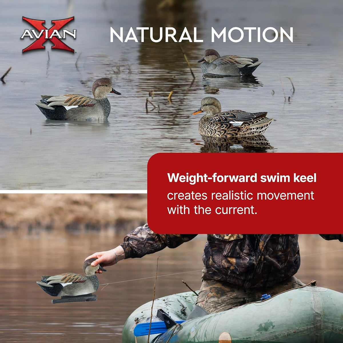 Avian-X Topflight Gadwall Decoys Perfectly Replicated Late Season Gray Ducks, Weight Forward Swim Keel, Realistic Movement