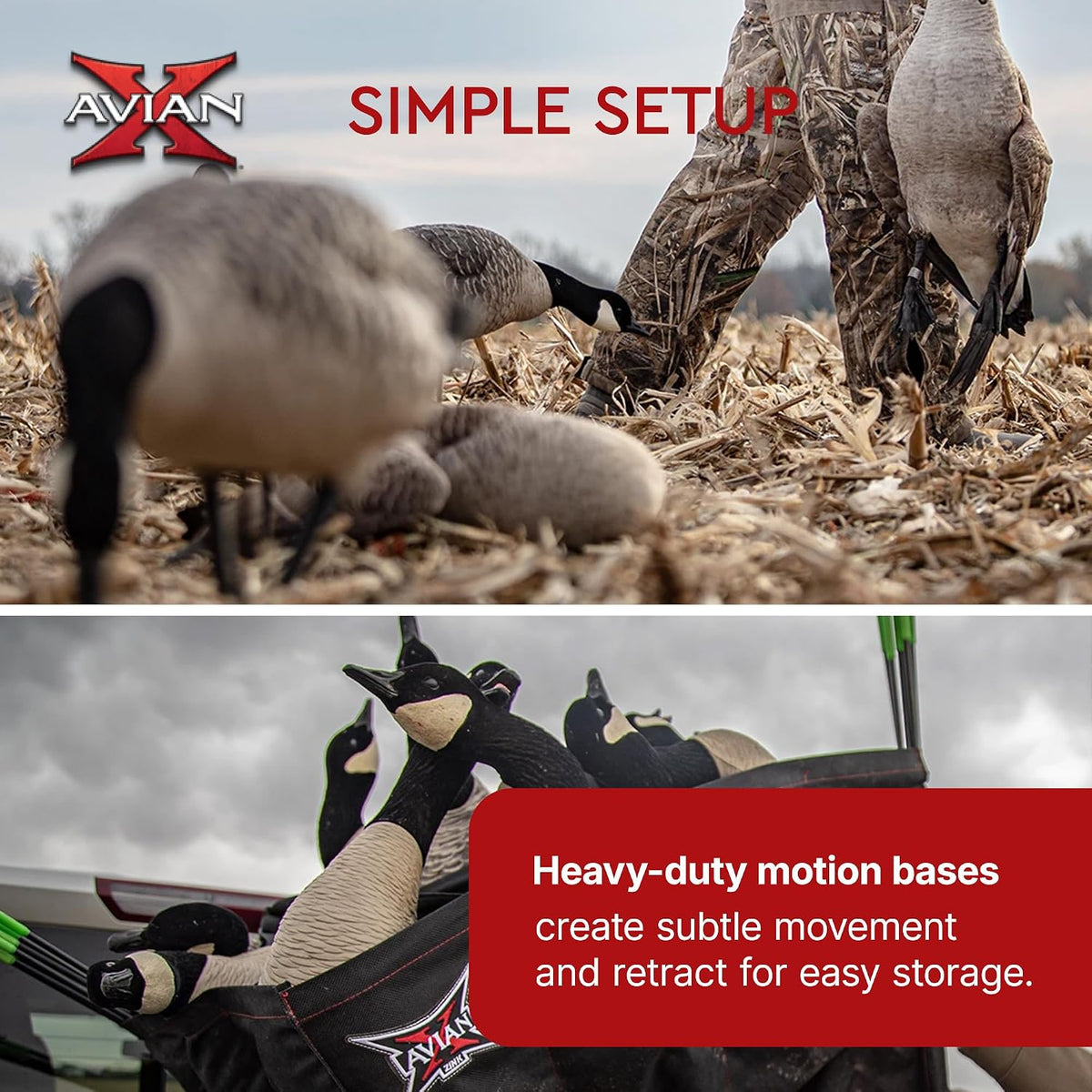 Avian X AXP Honkers Fusion Pack Full Body Canada Goose Decoys with Ultra Realistic Paint, Flocked Heads, 1 Sentry, 2 Walkers, and 3 Feeders