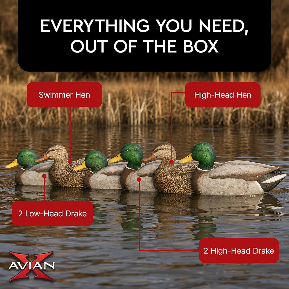 Avian X Topflight Realistic Open Water Mallard Duck Decoys with Weight-forward swim keel Set of 6 (Multicolor)