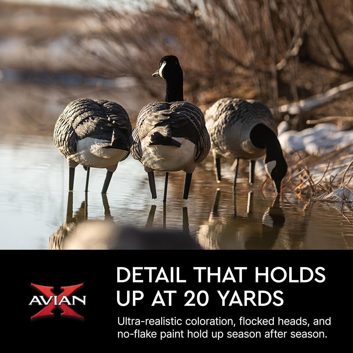 Avian X AXP Honkers Fusion Pack Full Body Canada Goose Decoys with Ultra Realistic Paint, Flocked Heads, 1 Sentry, 2 Walkers, and 3 Feeders