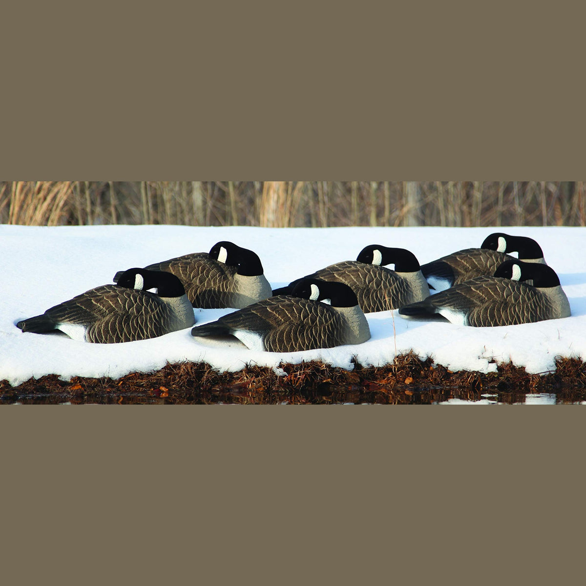 Higdon Outdoors Half Shell Goose Decoys for Waterfowl Hunting | Realistic & Stackable for Optimal Storage | Variety of Sizes and Species: Canada/Specklebelly/Blue/Snow/Sleeper/Full-Size/Magnum | 6pk