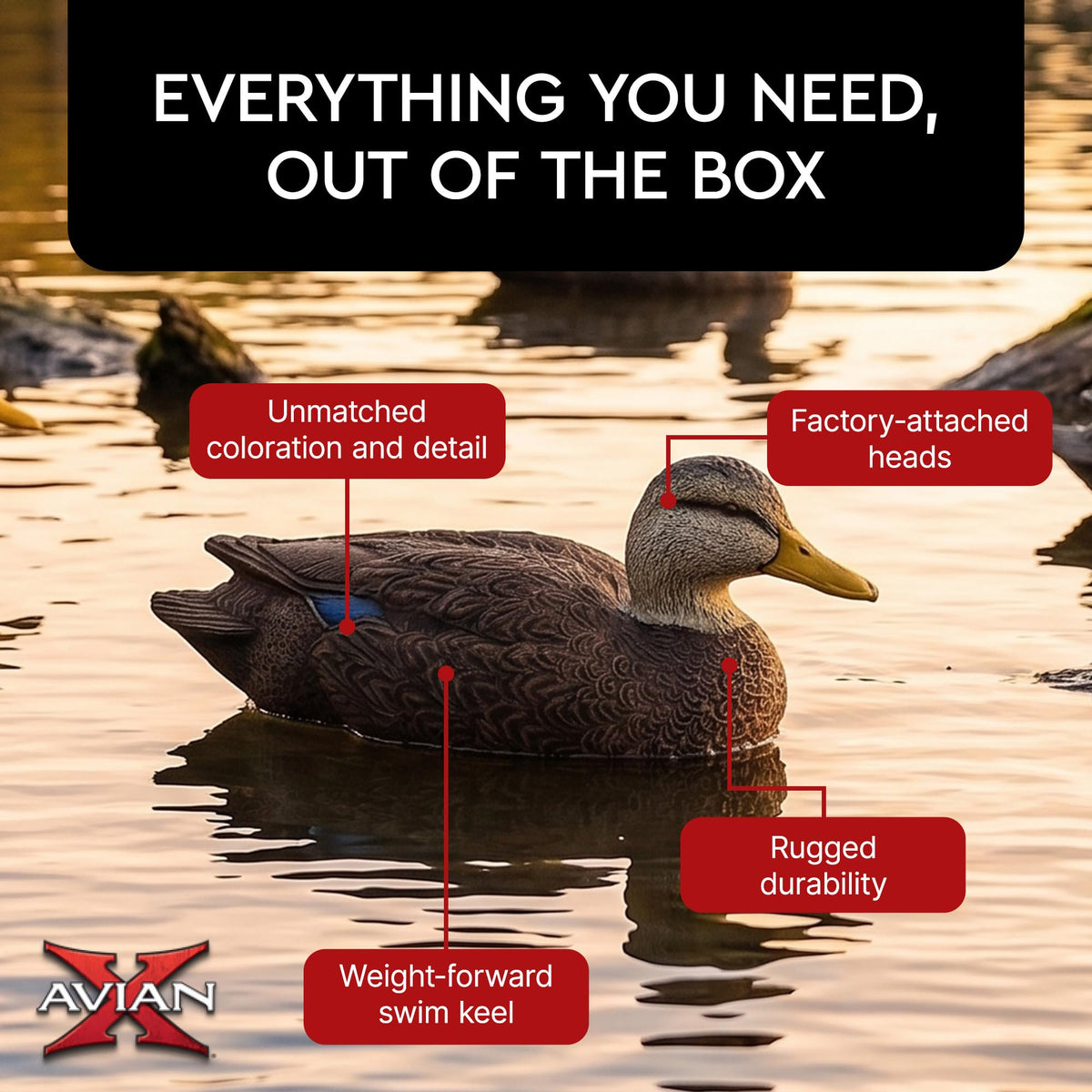 Avian-X Topflight Realistic Duck Decoy Sets with Flocked Bodies, 6 Unique Postures, Weight Forward Swim Keel, & Durable No Flake Finish