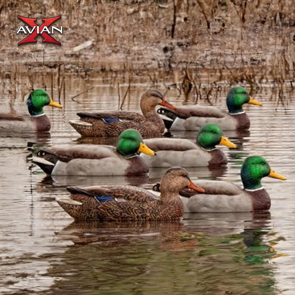 Avian-X Top Flight Open Water Mallard Duck Decoys, Ultra Realistic Floating Hunting Decoys with Weight Forward Swim Keel, Multicolor, 18 Pack