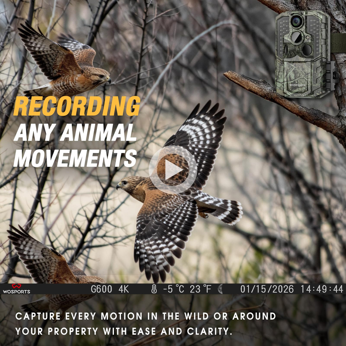 WOSPORTS Trail Camera(Non-Cellular Non-WiFi) 64MP 4K 0.2S Trigger Motion Activated,Game Camera with No-Glow Night Vision 2.0''LCD 120°Wide for Outdoor Scouting Wildlife Monitoring Home Security