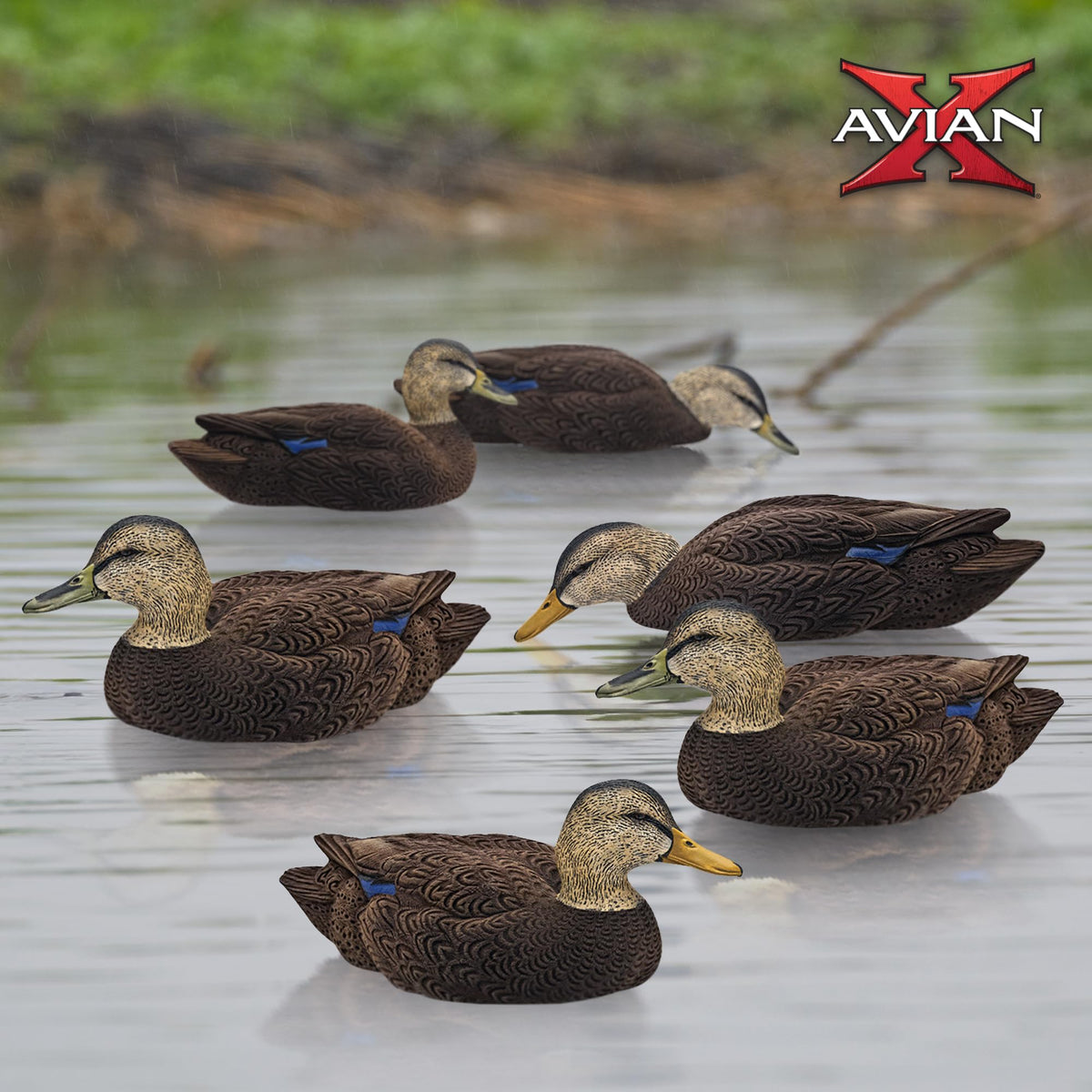 Avian-X Topflight Realistic Duck Decoy Sets with Flocked Bodies, 6 Unique Postures, Weight Forward Swim Keel, & Durable No Flake Finish