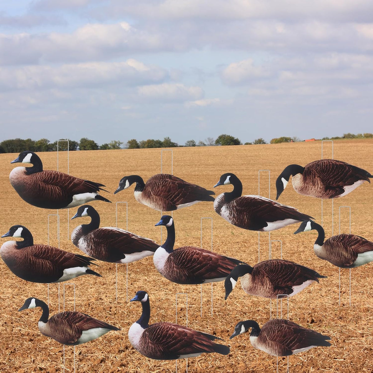 CroBlissful Goose Silhouette Decoys with Metal Stakes Goose Motion Decoys Set Outdoor Hunting Silhouette Stackable Realistic Vivid Easy to Carry for Field Pond