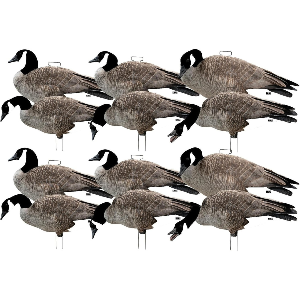 Avery GHG Pro-Grade Silhouette Goose Decoys