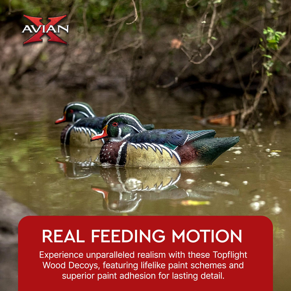 Avian X Topflight Realistic Floating Wood Duck Decoys with Weight-Forward Swim Keel, Set of 6 (Multicolor)