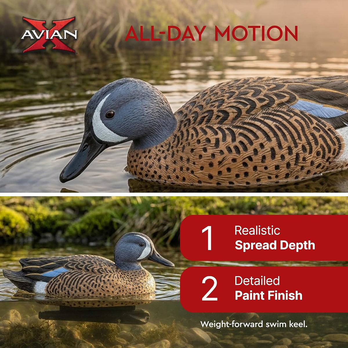 Avian-X Topflight Blue-Winged Teal Duck, Realistic Floating Outdoor Duck Decoys
