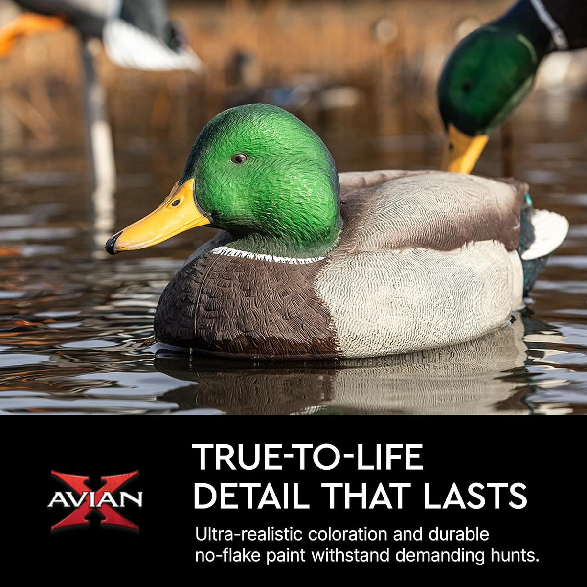 Avian X Topflight Realistic Open Water Mallard Duck Decoys with Weight-forward swim keel Set of 6 (Multicolor)