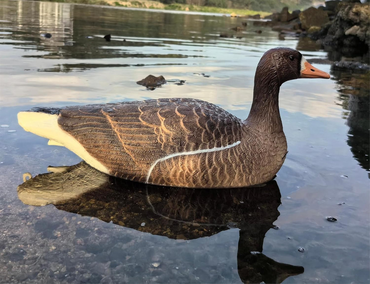 Heerweiyi Goose Decoys Pack of 6, Popular New Material EVA Collapsible Plastic Goose Hunting Decoys, Goose Decoys, Easy to Carry and Use, Cost Effective