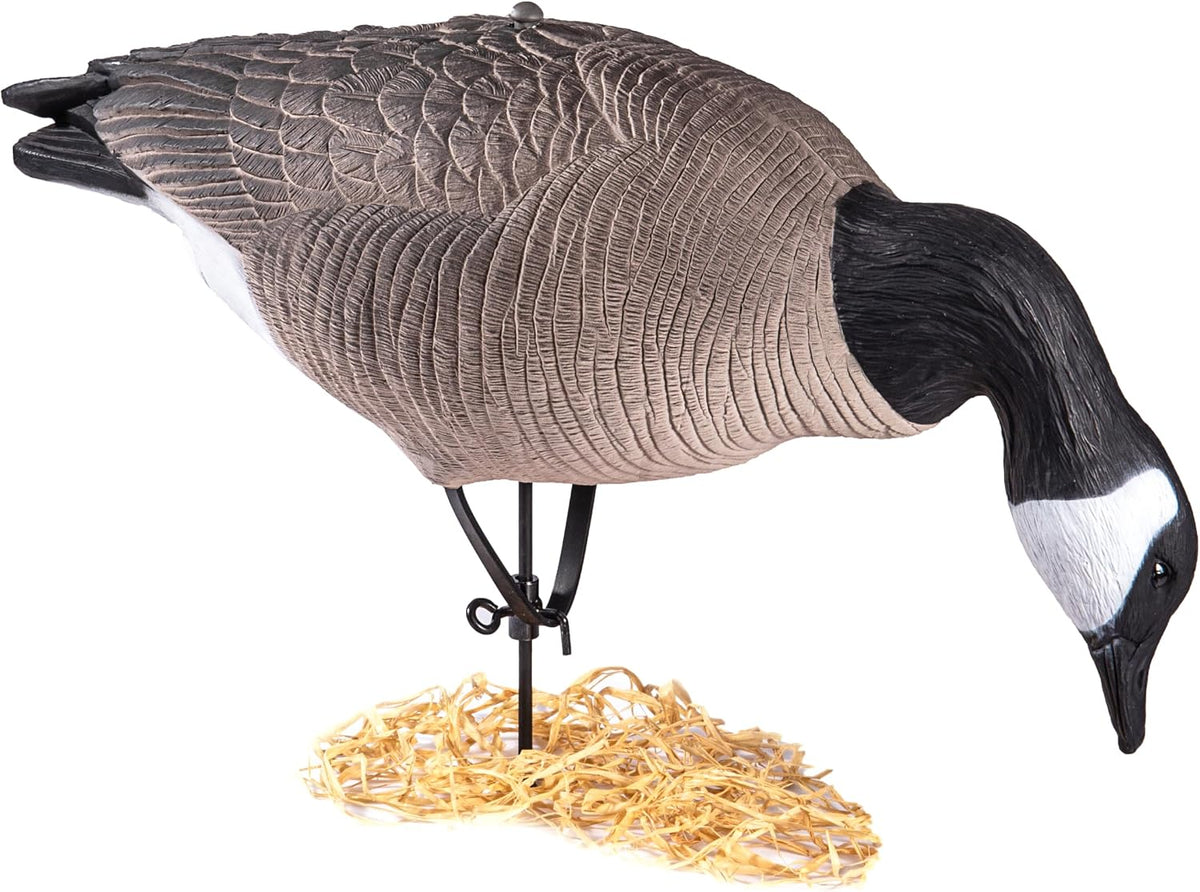 Heerweiyi Goose Decoys Pack of 6, Popular New Material EVA Collapsible Plastic Goose Hunting Decoys, Goose Decoys, Easy to Carry and Use, Cost Effective
