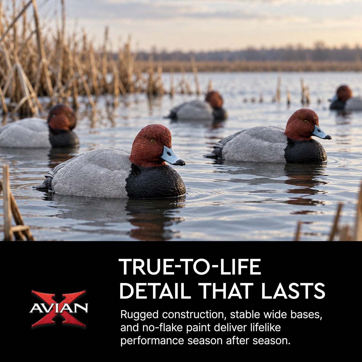 Avian-X Topflight Blue-Winged Teal Duck, Realistic Floating Outdoor Duck Decoys