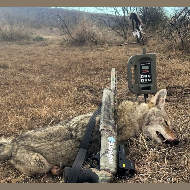 MOJO Outdoors Triple Threat E-Caller Predator Coyote Call Decoy 3-Part Complete Calling System for Successful Predator Hunting, Includes Remote, Critter Decoy and Comes Loaded with 80 Proven Sounds