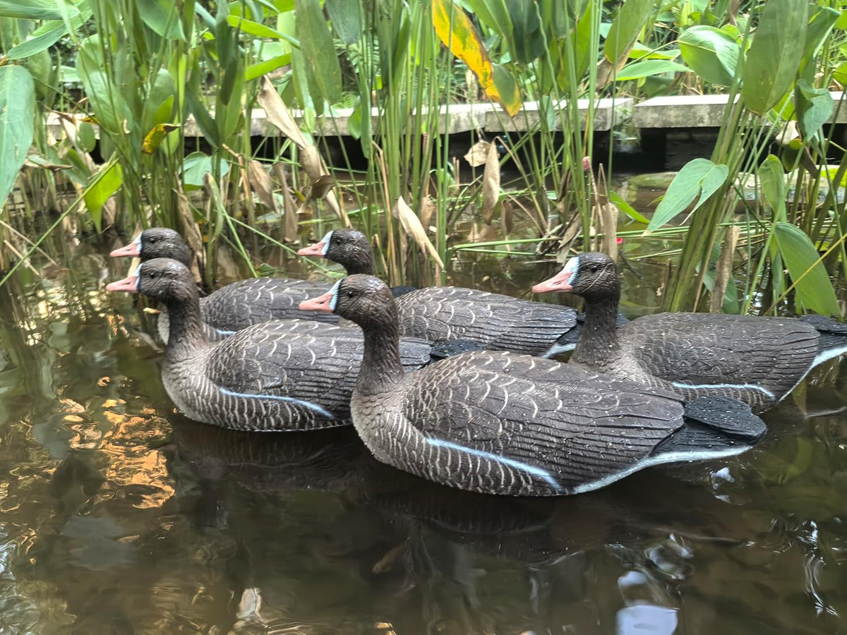 Heerweiyi Goose Decoys Pack of 6, Popular New Material EVA Collapsible Plastic Goose Hunting Decoys, Goose Decoys, Easy to Carry and Use, Cost Effective