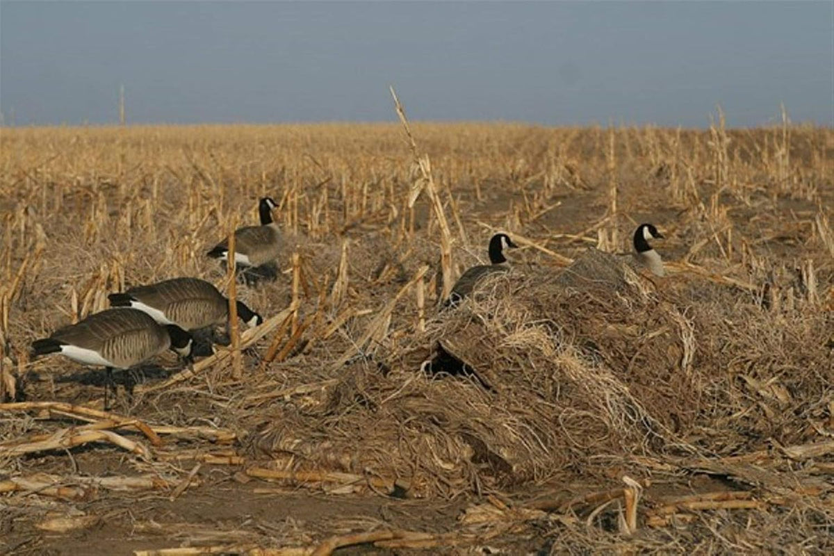 Avery KillerWeed Layout Blind Kit