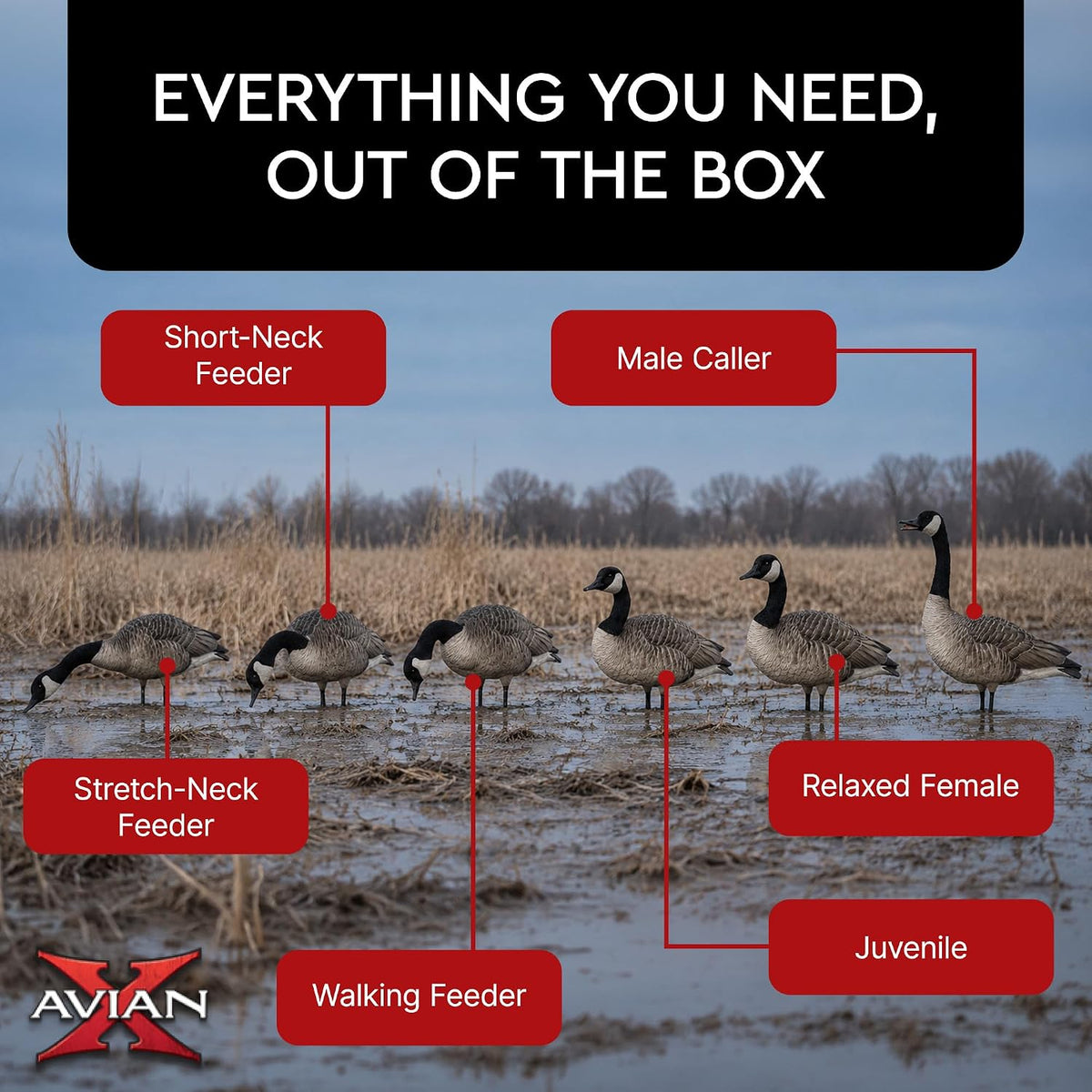 Avian X AXP Honkers Fusion Pack Full Body Canada Goose Decoys with Ultra Realistic Paint, Flocked Heads, 1 Sentry, 2 Walkers, and 3 Feeders