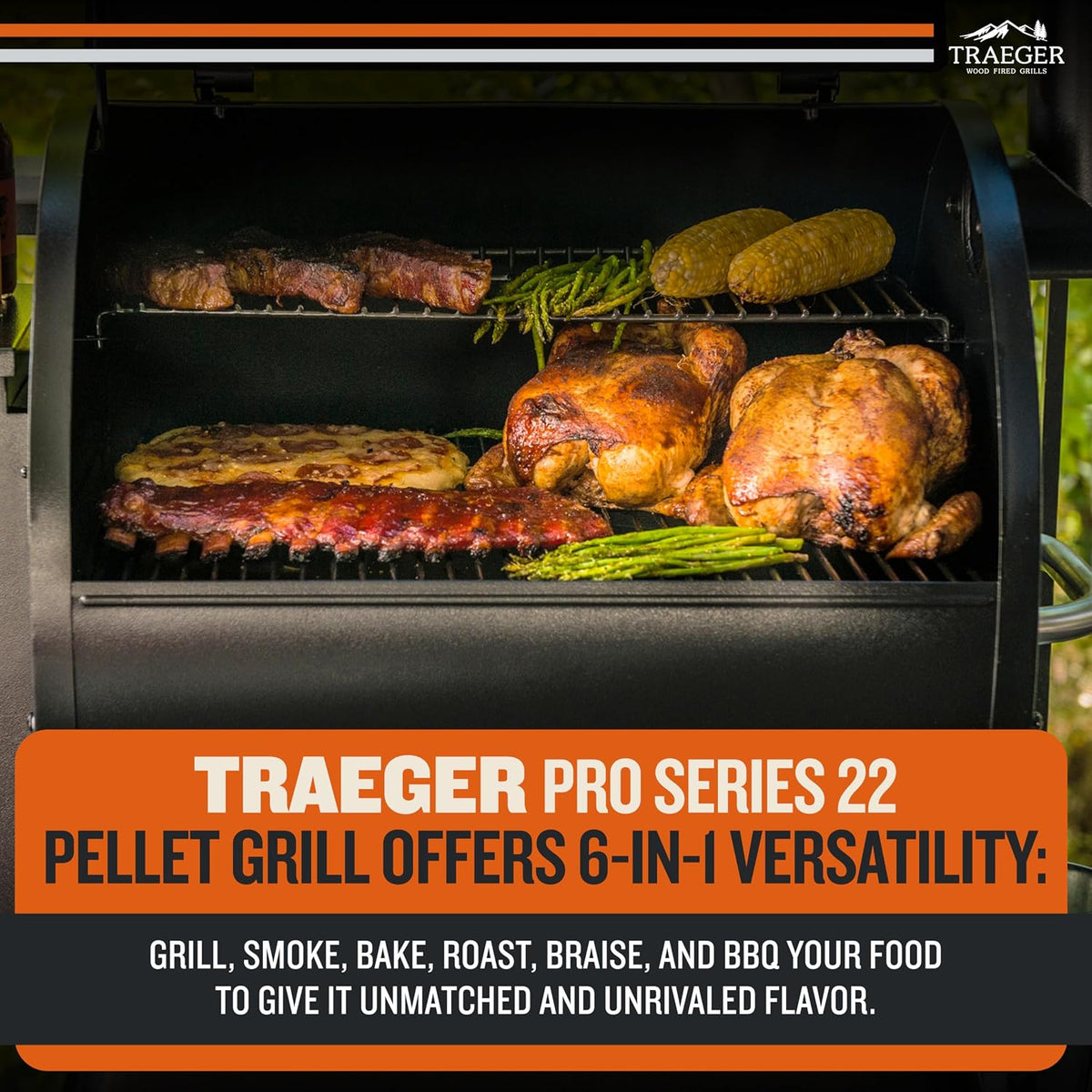 Traeger Pro 22 Wood Pellet Grill & Smoker, 572 Sq In