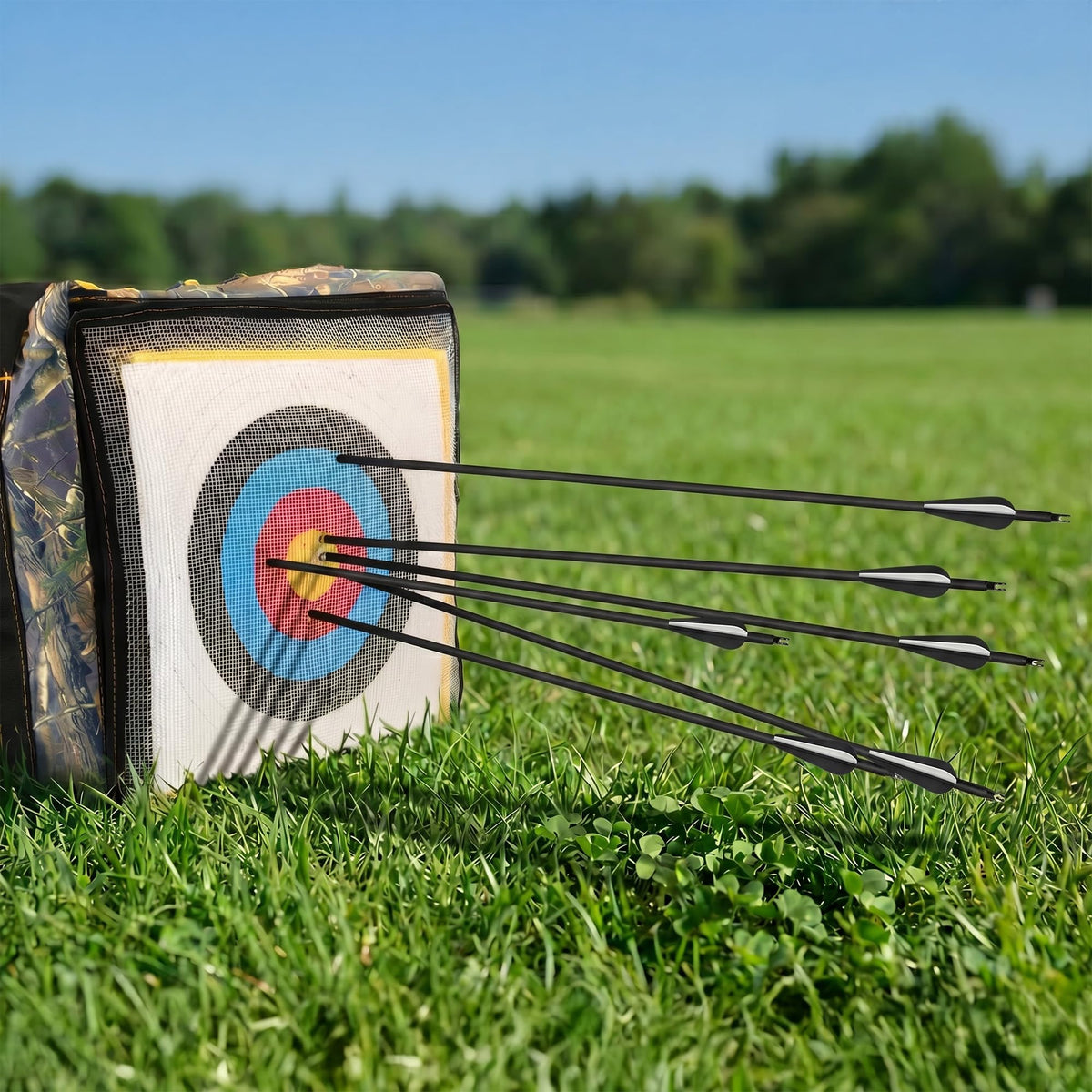 14 Pack 30" Archery Carbon Arrows,Practice Hunting Arrow with Removable Tips Shaft Spine 500 Suitable for Recurve Bows