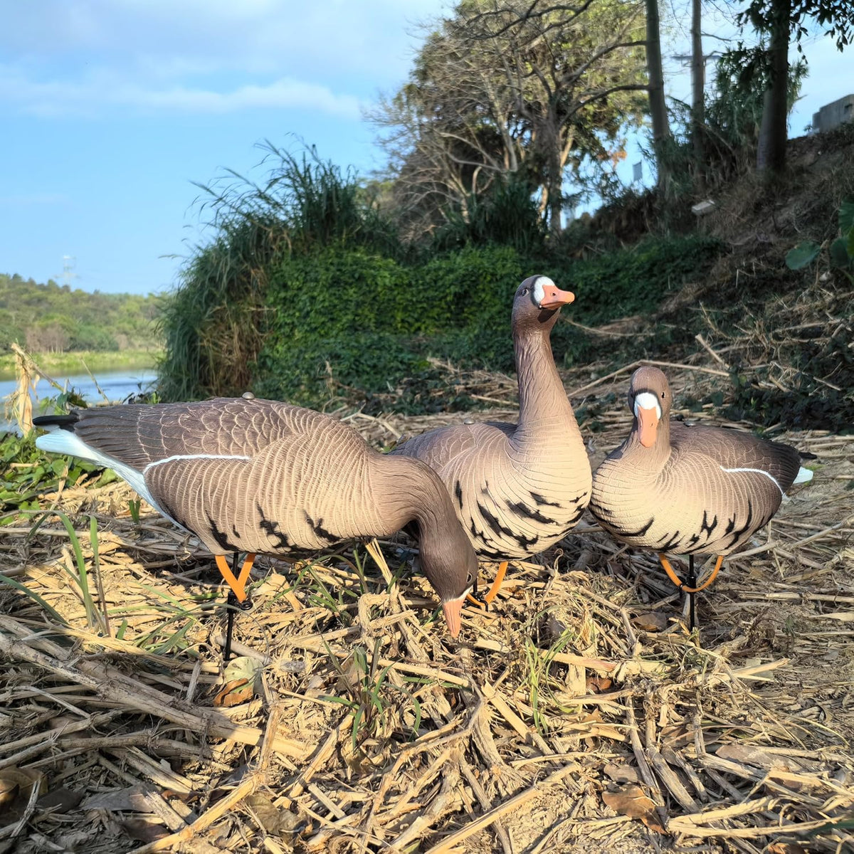 Heerweiyi Goose Decoys Pack of 6, Popular New Material EVA Collapsible Plastic Goose Hunting Decoys, Goose Decoys, Easy to Carry and Use, Cost Effective