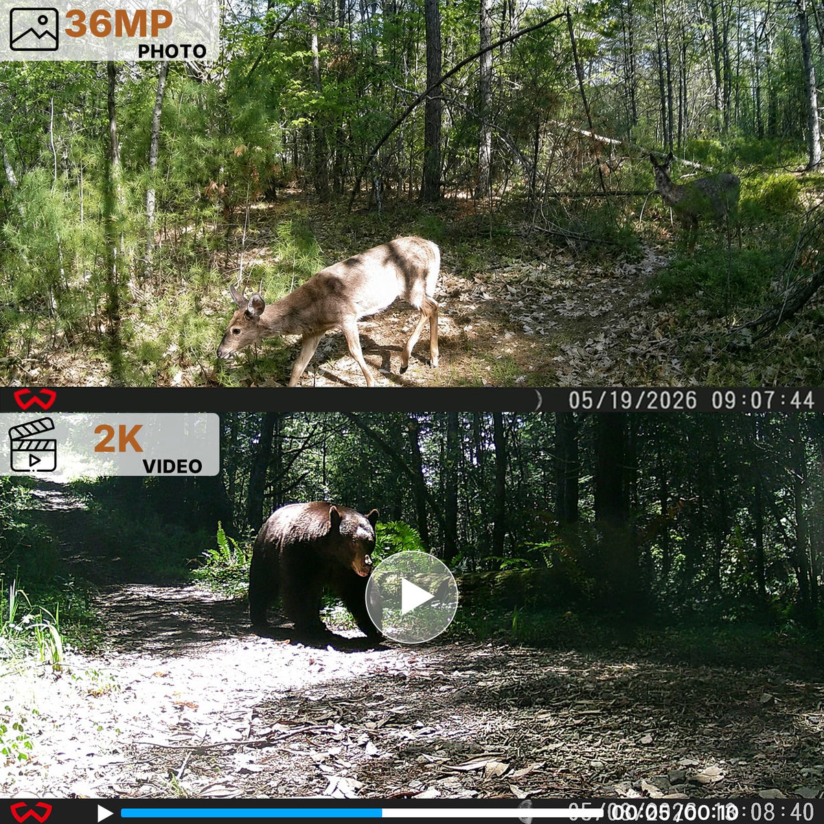 WOSODA Mini Trail Camera 4 Pack 30MP 1080P HD, Game Cam with SD Card, Waterproof Tiny Deer Camera Night Vision Motion Activated with Fast Trigger Time for Outdoor Wildlife Monitoring