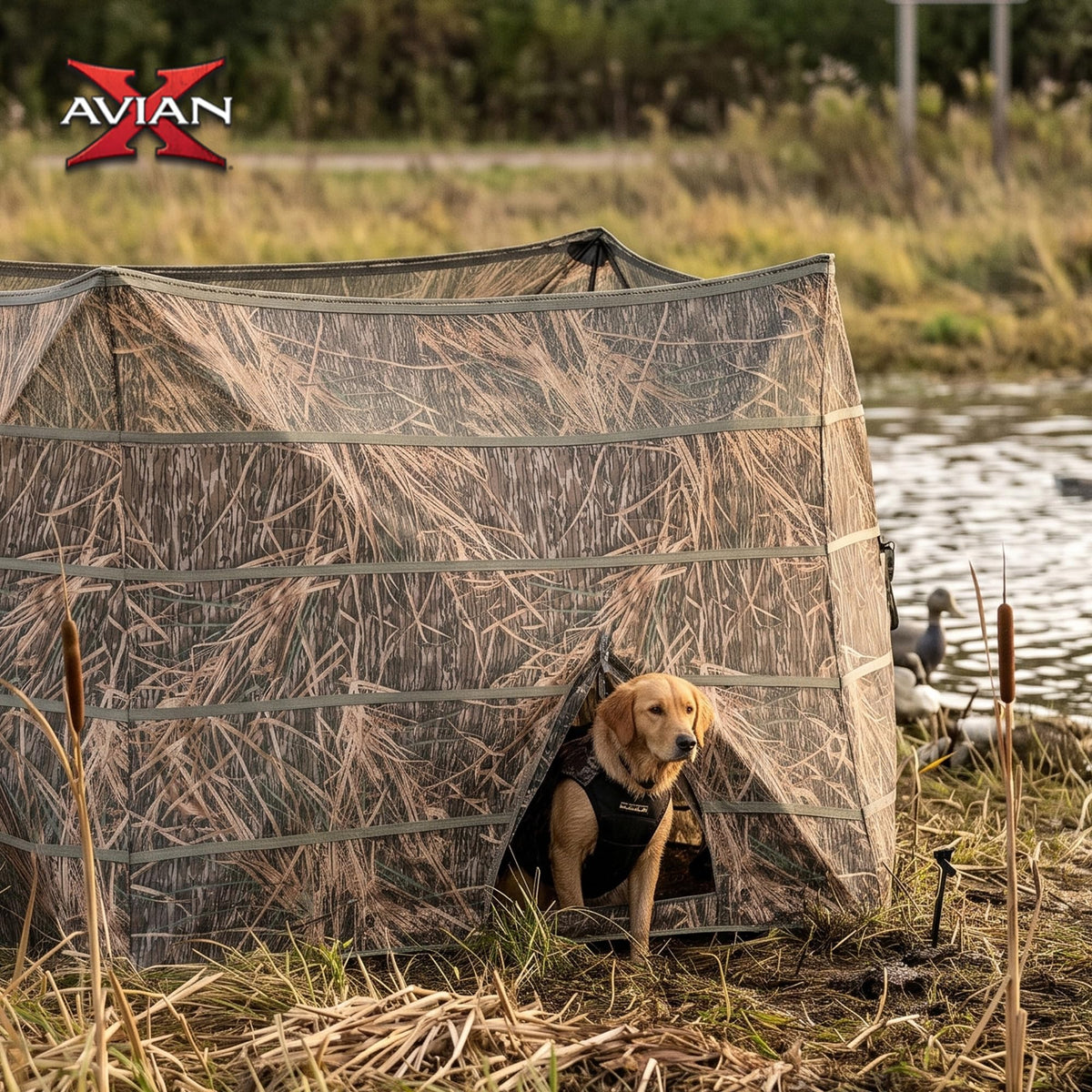 Avian-X Waterfowl Blind