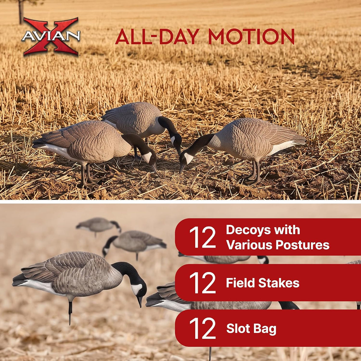 Avian X AXP Lessers Full Body Canada Goose Decoys, Flocked Heads, 12-Pack