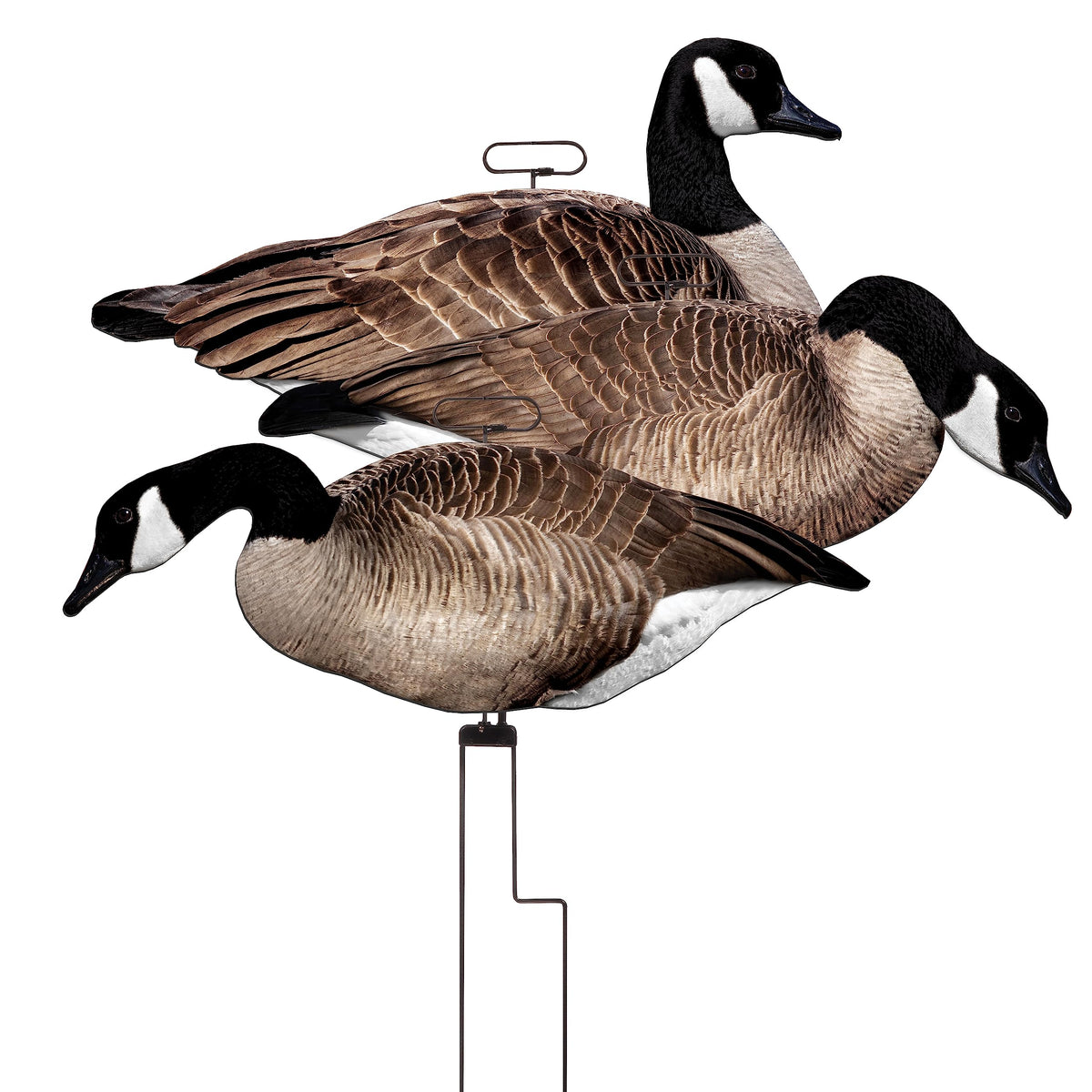 Higdon Outdoors Flats | Canada Goose Silhouette Decoys for Waterfowl Hunting | Weather Resistant Goose Decoys with Easy Carry Stakes | Standard, Motion, or Fully Flocked Motion | 12 Pack