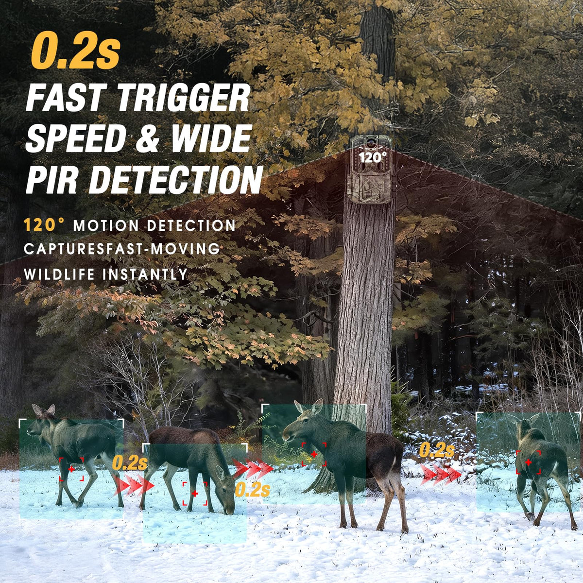 WOSPORTS Trail Camera(Non-Cellular Non-WiFi) 64MP 4K 0.2S Trigger Motion Activated,Game Camera with No-Glow Night Vision 2.0''LCD 120°Wide for Outdoor Scouting Wildlife Monitoring Home Security