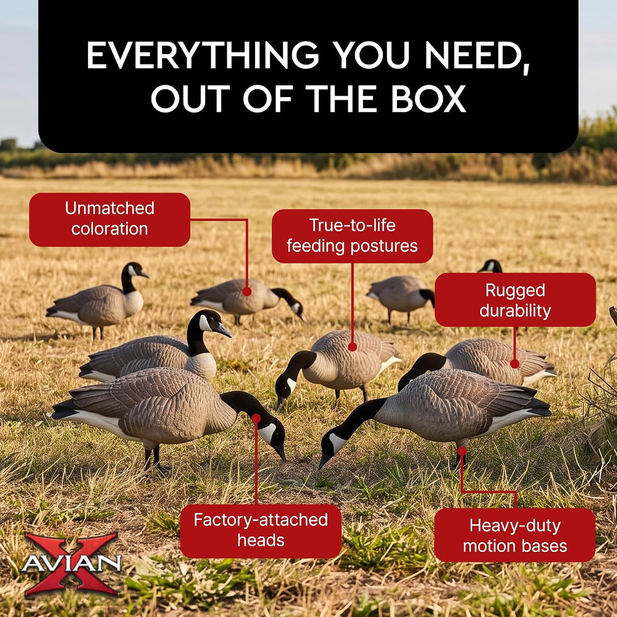 Avian X AXP Lessers Full Body Canada Goose Decoys, Flocked Heads, 12-Pack