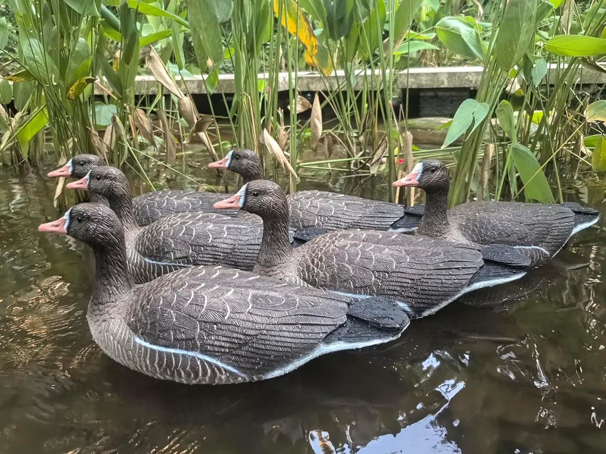 Heerweiyi Goose Decoys Pack of 6, Popular New Material EVA Collapsible Plastic Goose Hunting Decoys, Goose Decoys, Easy to Carry and Use, Cost Effective