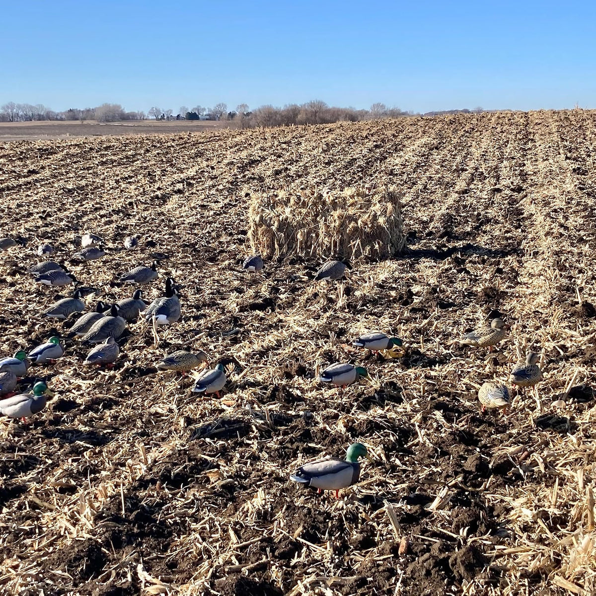 Avian-X Waterfowl Blind