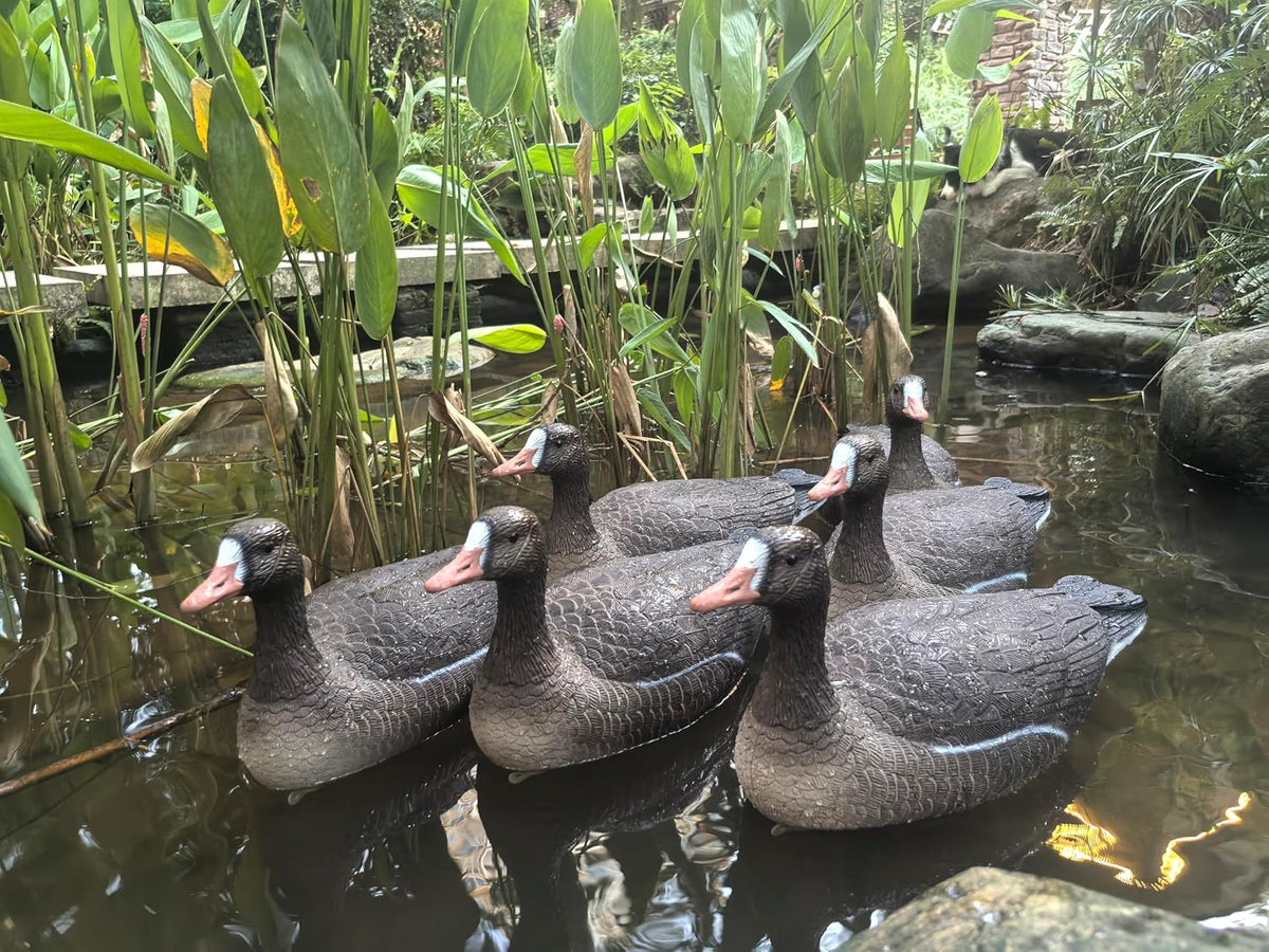 Heerweiyi Goose Decoys Pack of 6, Popular New Material EVA Collapsible Plastic Goose Hunting Decoys, Goose Decoys, Easy to Carry and Use, Cost Effective