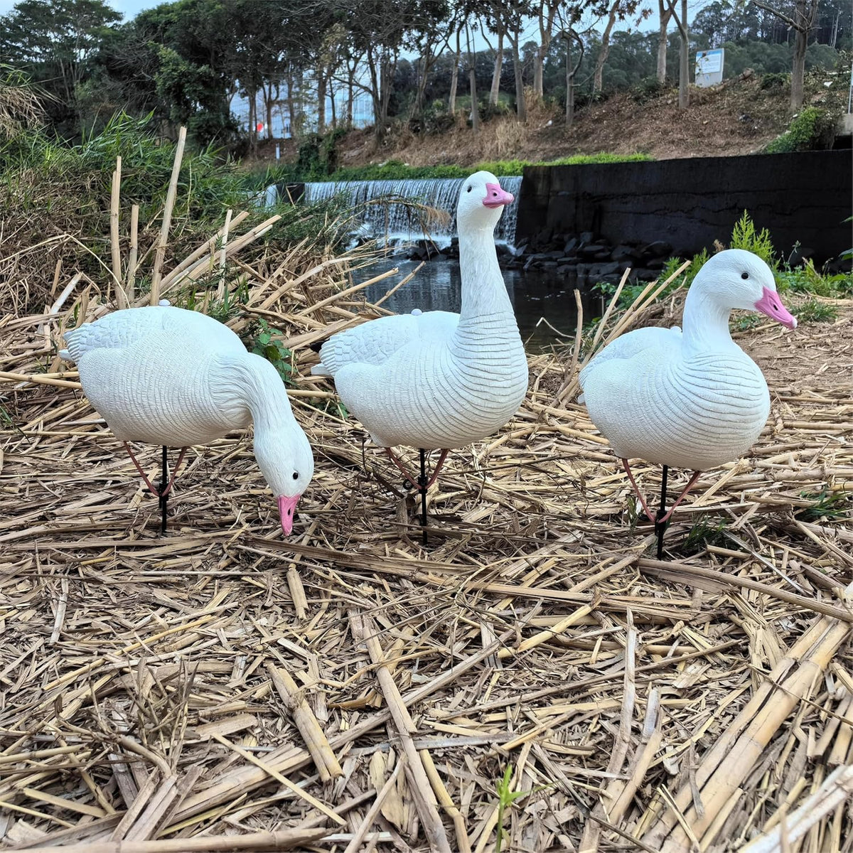 Heerweiyi Goose Decoys Pack of 6, Popular New Material EVA Collapsible Plastic Goose Hunting Decoys, Goose Decoys, Easy to Carry and Use, Cost Effective