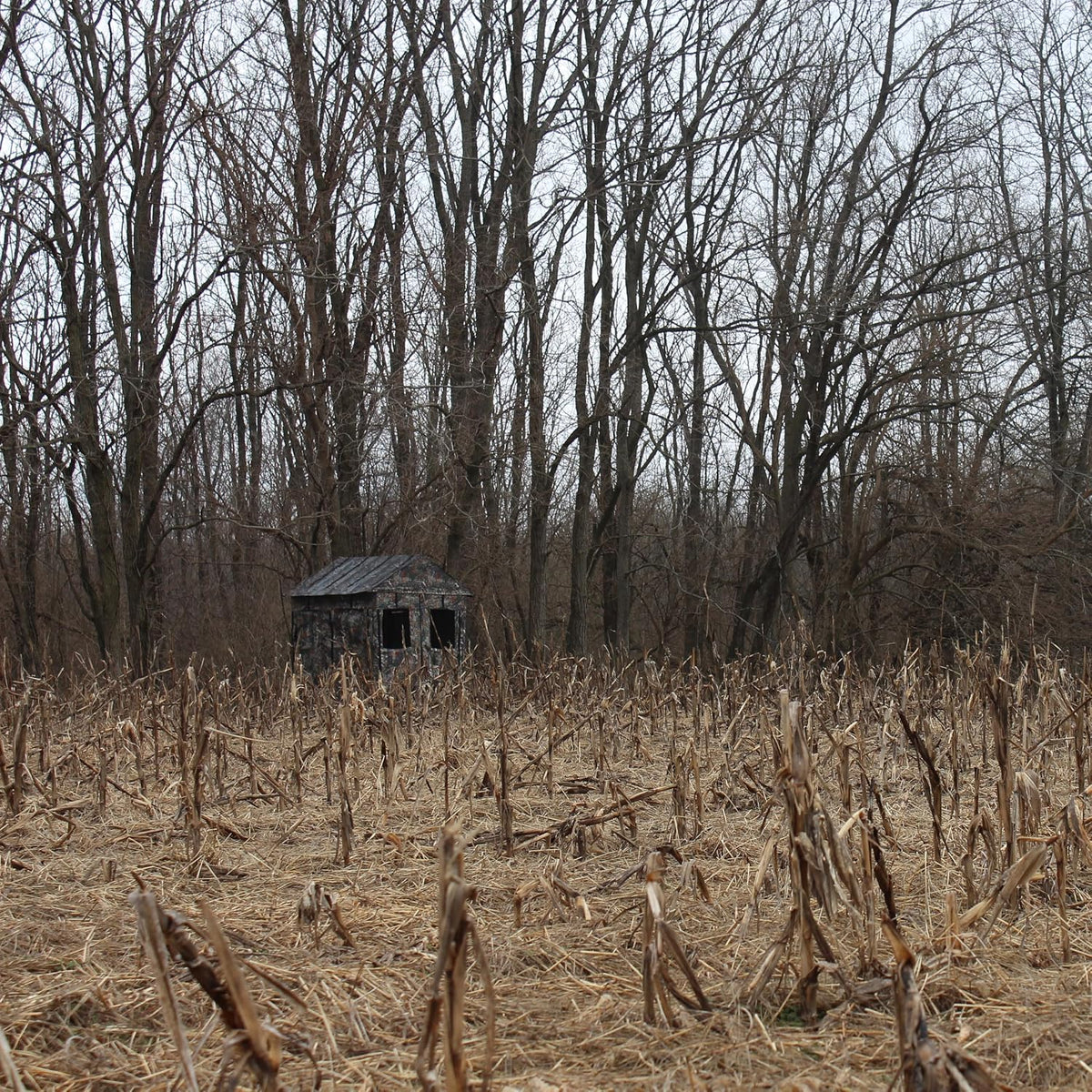 Hunting Blind for Deer Hunting – Heavy-Duty Steel Frame, 8 Shoot-Through Windows, Durable 300D Oxford Fabric, Full Visibility Ground Blind for Bow and Gun Hunters