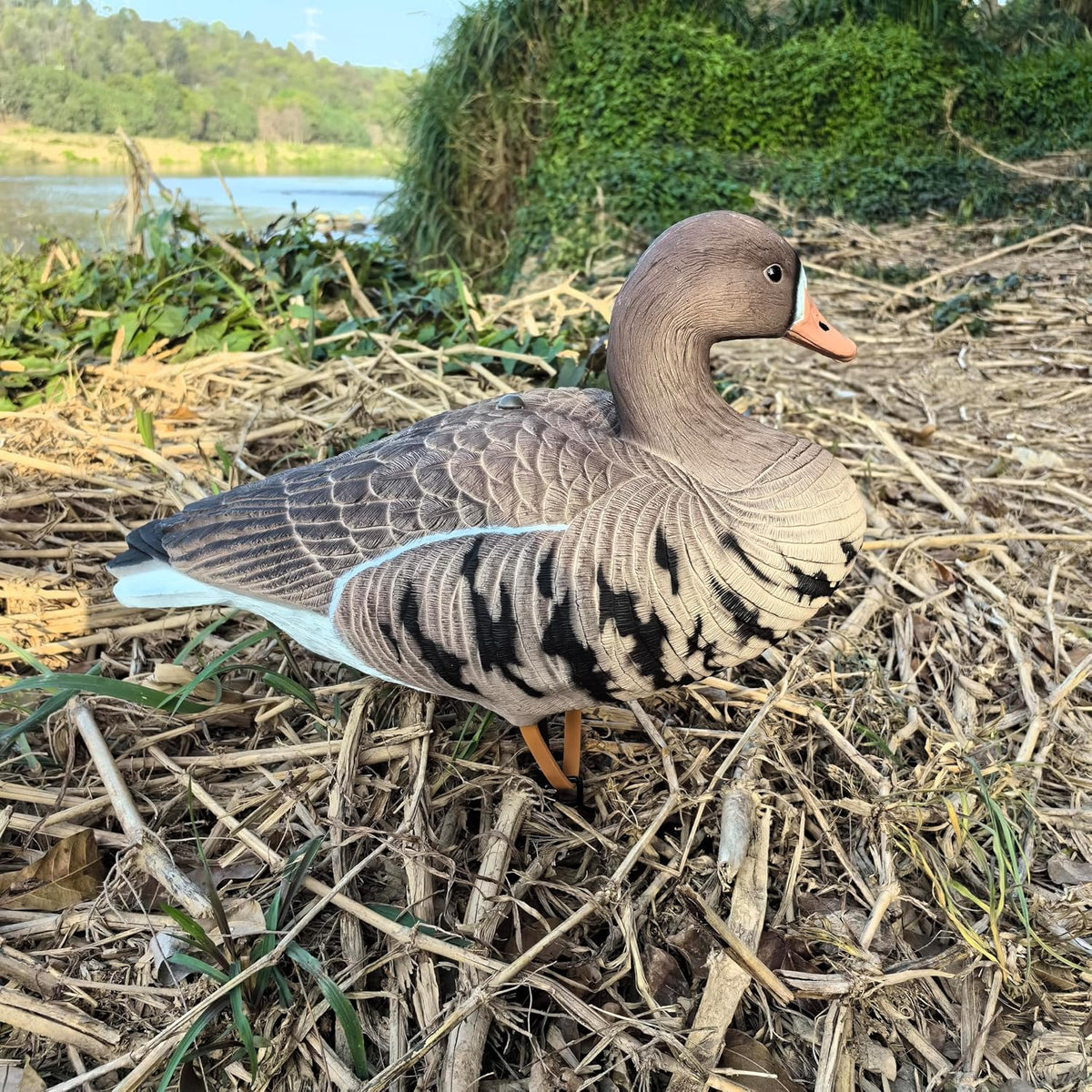 Heerweiyi Goose Decoys Pack of 6, Popular New Material EVA Collapsible Plastic Goose Hunting Decoys, Goose Decoys, Easy to Carry and Use, Cost Effective